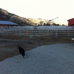 continuous horse fence