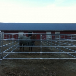 5 rail farm gate okanagan