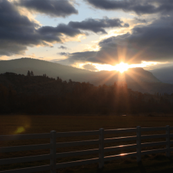 vinyl-fencing-1